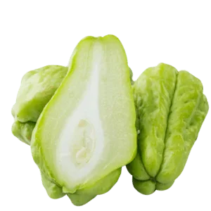 CHAYOTE AGROECOLÓGICO