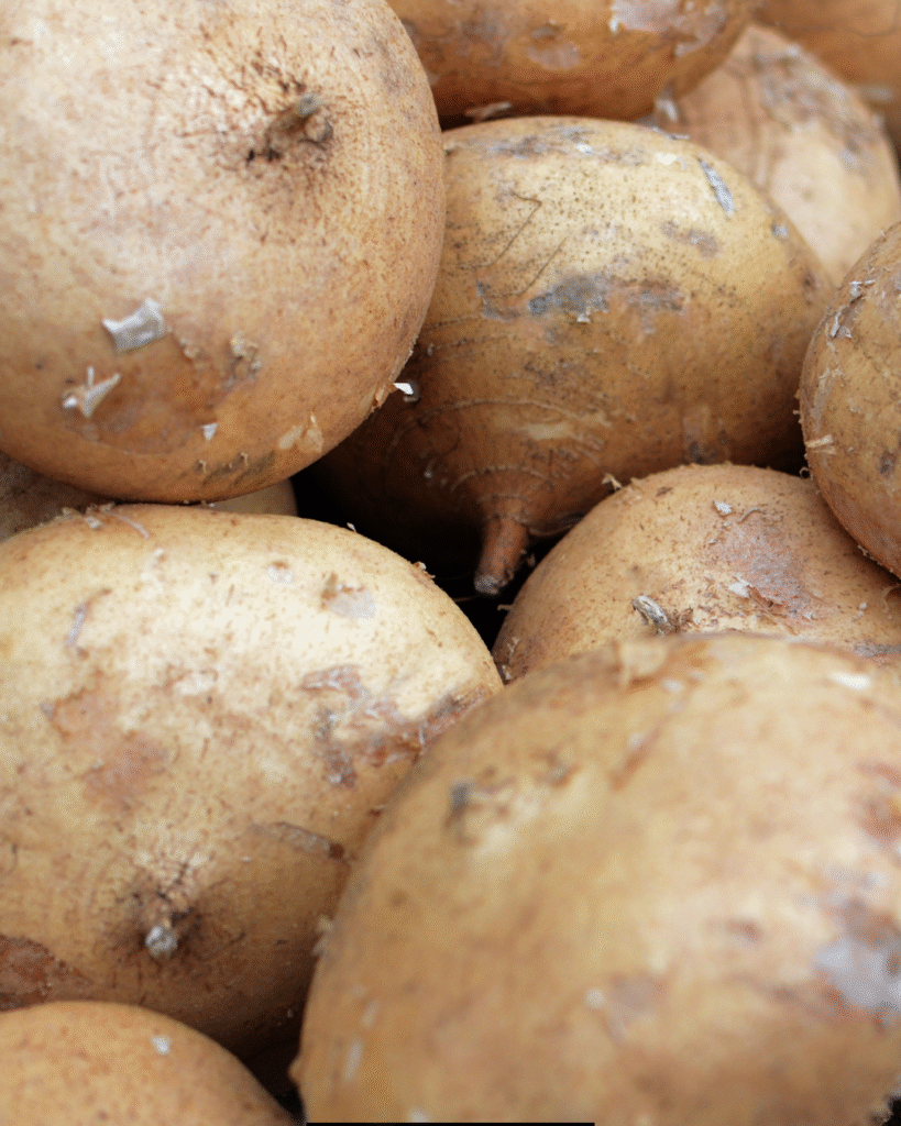 Delicioso ceviche de jícama vegano servido en plato con cubos de mango fresco y cilantro picado