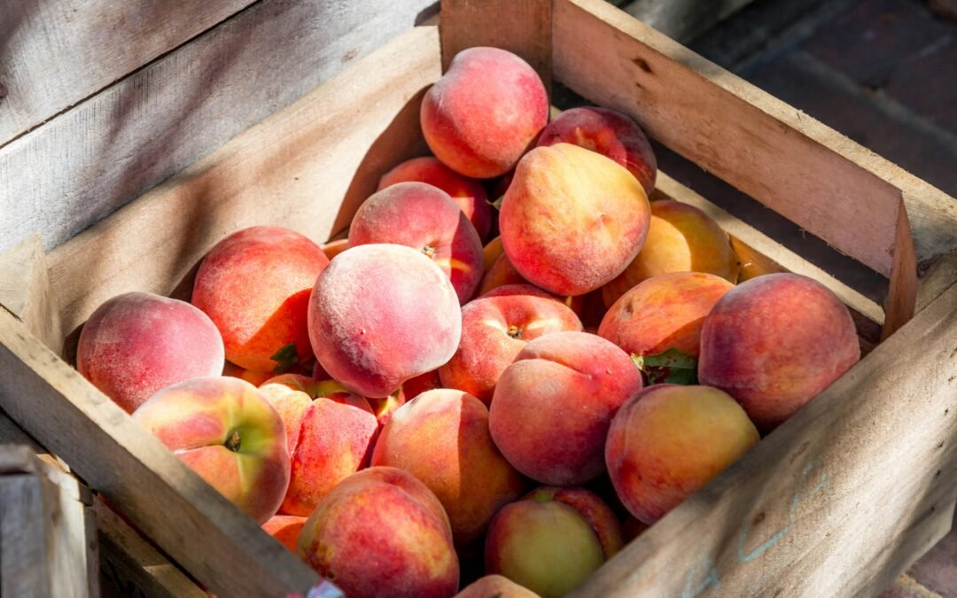 Las frutas engordan: Mitos y verdades sobre el consumo