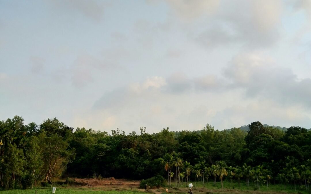 Prácticas Agrícolas Sostenibles: La Revolución Verde