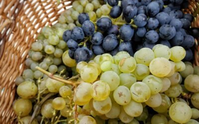 Alimentos hidratantes otoño: hidrata tu cuerpo